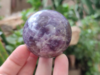 Polished Lepidolite with Pink Rubellite Spheres x 6 From Ambatondrazaka, Madagascar