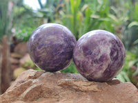 Polished Lepidolite with Pink Rubellite Spheres x 6 From Ambatondrazaka, Madagascar