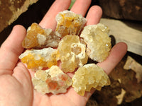 Natural Limonite Quartz Clusters x 70 From Solwezi, Zambia