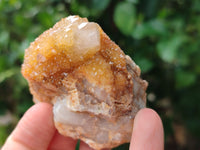 Natural Spirit Quartz Clusters x 12 From Boekenhouthoek, South Africa