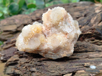 Natural Spirit Quartz Clusters x 12 From Boekenhouthoek, South Africa