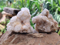 Natural Spirit Quartz Clusters x 12 From Boekenhouthoek, South Africa