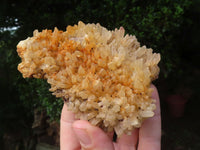 Natural Limonite Quartz Geodes x 2 From Solwezi, Zambia