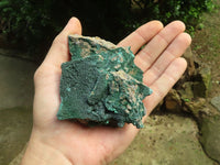 Natural Botryoidal Malachite Specimens x 6 From Congo