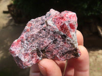 Natural Rhodonite Cobbed Specimens x 12 From Zimbabwe