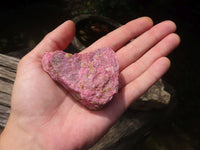 Natural Rhodonite Cobbed Specimens x 12 From Zimbabwe