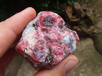 Natural Rhodonite Cobbed Specimens x 12 From Zimbabwe