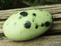 Polished Leopard Stone Palm Stones x 12 From Zimbabwe