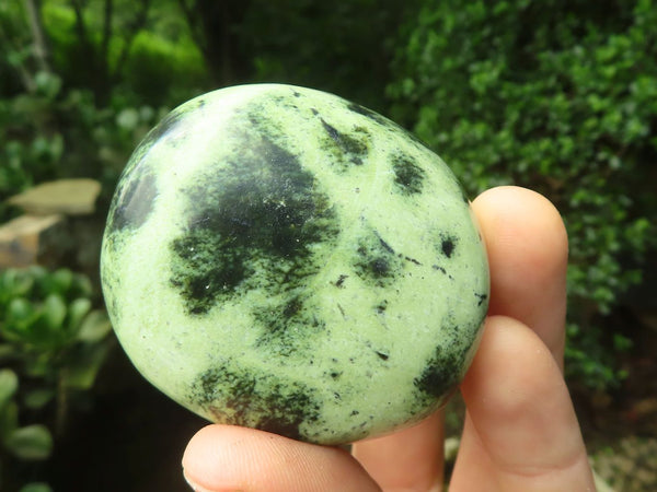 Polished Leopard Stone Palm Stones x 12 From Zimbabwe