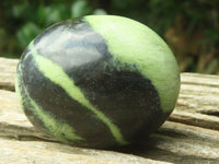 Polished Leopard Stone Palm Stones x 12 From Zimbabwe