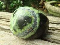 Polished Leopard Stone Palm Stones x 12 From Zimbabwe