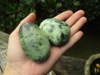 Polished Leopard Stone Palm Stones x 12 From Zimbabwe