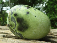 Polished Leopard Stone Palm Stones x 12 From Zimbabwe