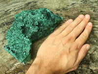 Natural Silky Malachite Specimens x 2 From Kasompe, Congo