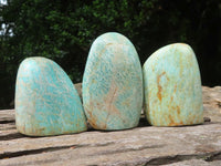 Polished Amazonite Standing Free Forms x 10 From Madagascar