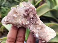 Natural Red Hematoid Quartz Clusters x 12 From Karoi, Zimbabwe