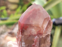 Natural Red Hematoid Quartz Clusters x 12 From Karoi, Zimbabwe