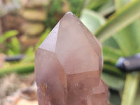 Natural Red Hematoid Quartz Clusters x 12 From Karoi, Zimbabwe