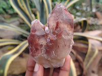 Natural Red Hematoid Quartz Clusters x 12 From Karoi, Zimbabwe