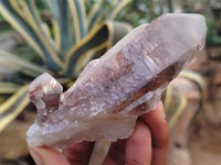 Natural Red Hematoid Quartz Clusters x 12 From Karoi, Zimbabwe