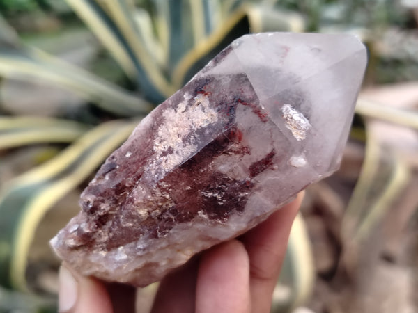 Natural Red Hematoid Quartz Clusters x 12 From Karoi, Zimbabwe