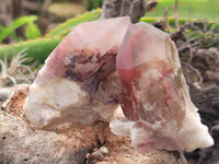 Natural Red Hematoid Quartz Clusters x 12 From Karoi, Zimbabwe