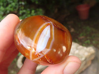 Polished Carnelian Palm Stones x 23 From Madagascar