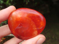 Polished Carnelian Palm Stones x 23 From Madagascar