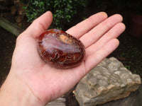 Polished Carnelian Palm Stones x 23 From Madagascar