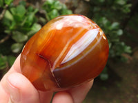 Polished Carnelian Palm Stones x 23 From Madagascar