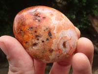 Polished Carnelian Palm Stones x 23 From Madagascar