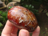 Polished Carnelian Palm Stones x 23 From Madagascar