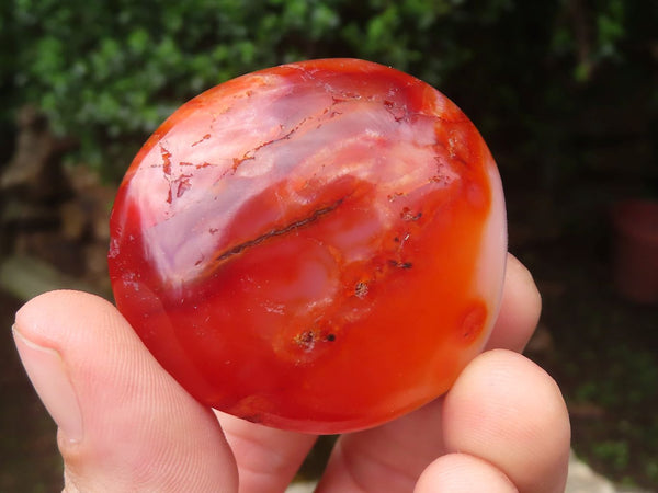 Polished Carnelian Palm Stones x 23 From Madagascar