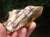 Natural Nguni Jasper Cobbed Specimens x 12 From Prieska, South Africa