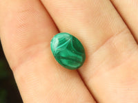 Hand Made Flower Malachite Oval Stud Earrings - Sold Per Pair - From Congo