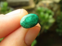 Hand Made Flower Malachite Oval Stud Earrings - Sold Per Pair - From Congo