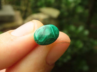 Hand Made Flower Malachite Oval Stud Earrings - Sold Per Pair - From Congo