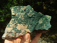 Natural Botryoidal Malachite Specimens x 3 From Congo