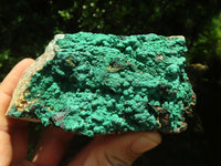 Natural Botryoidal Malachite Specimens x 3 From Congo