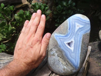 Polished Blue Lace Agate Standing Free Form x 1 From Malawi