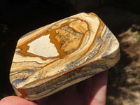 Polished Picture Stone Jasper Ashtrays x 2 From Namibia