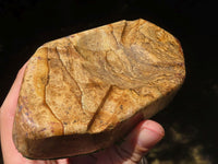 Polished Picture Stone Jasper Ashtrays x 2 From Namibia