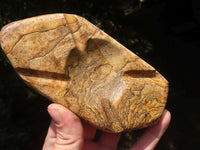 Polished Picture Stone Jasper Ashtrays x 2 From Namibia