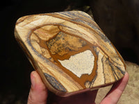 Polished Picture Stone Jasper Ashtrays x 2 From Namibia