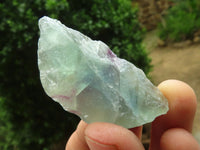 Natural Watermelon Fluorite Cobbed Specimens x 2.6 Kg Lot From Uis, Namibia