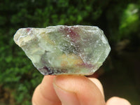 Natural Watermelon Fluorite Cobbed Specimens x 2.6 Kg Lot From Uis, Namibia