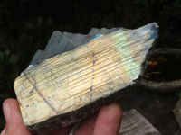 Polished On One Side Labradorite x 6 From Madagascar