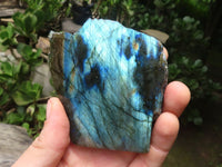 Polished On One Side Labradorite x 6 From Madagascar