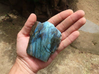 Polished On One Side Labradorite x 6 From Madagascar