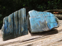 Polished On One Side Labradorite x 6 From Madagascar